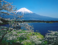 The Church in Japan is a promise