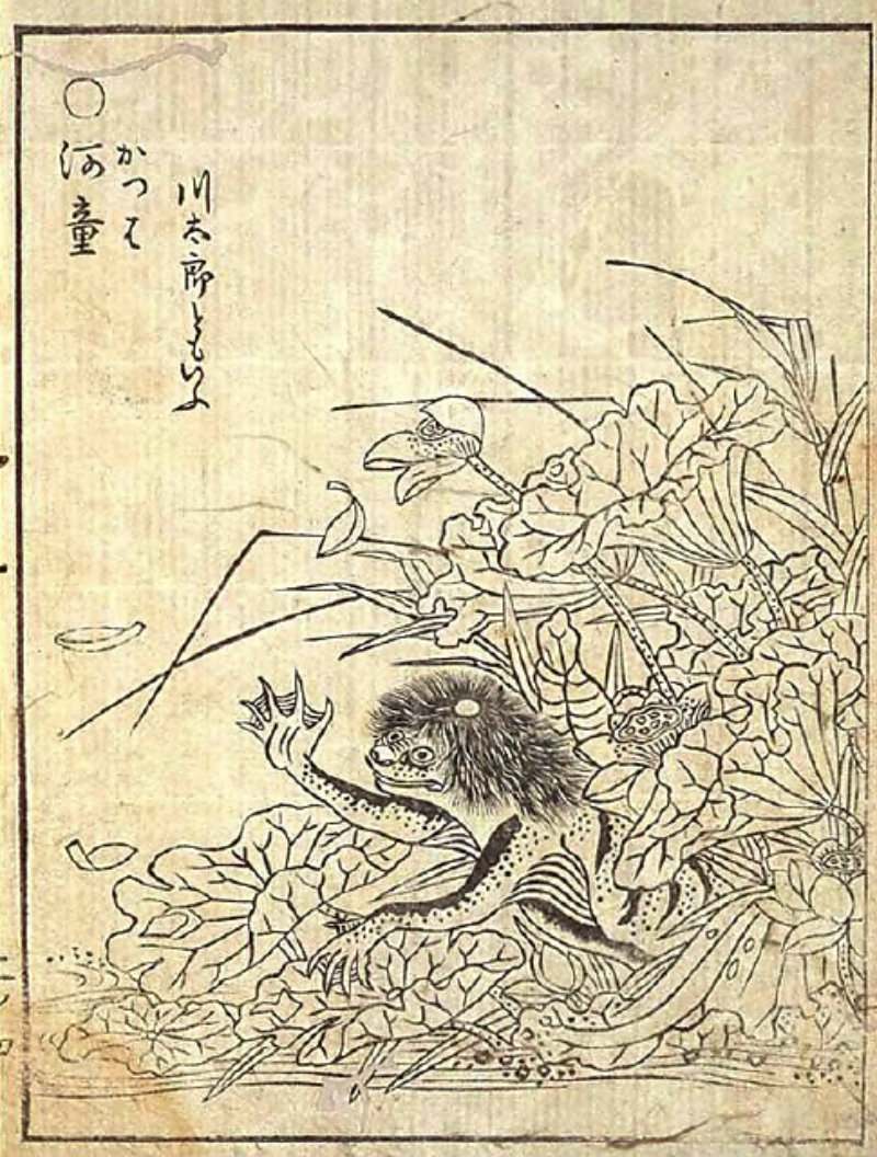 Bild på Kappa enligt Toriyama Sekien, troligen sent 1700-tal