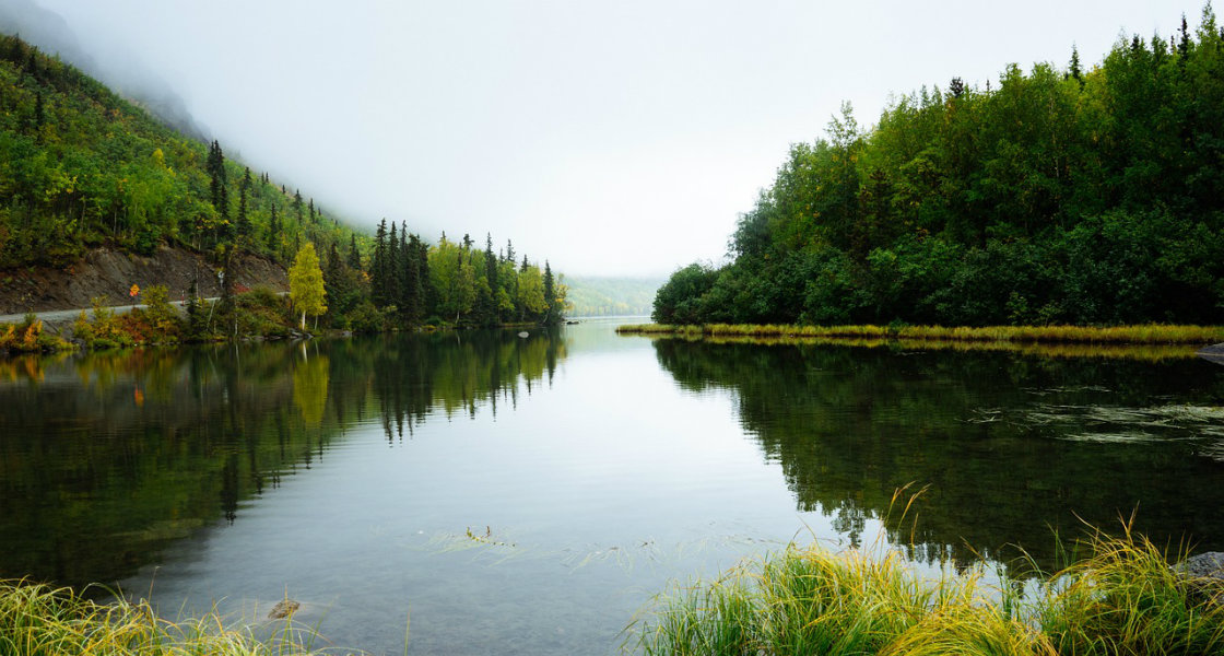 Naturbild. Foto: Free_photo/Pixabay