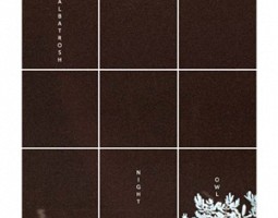 Musik: Olika artister på Rune Grammofon